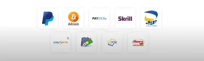 كيفية تحقيق الدخل من موقع real-sky