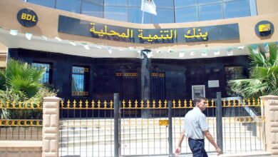 بنك التنمية المحلية